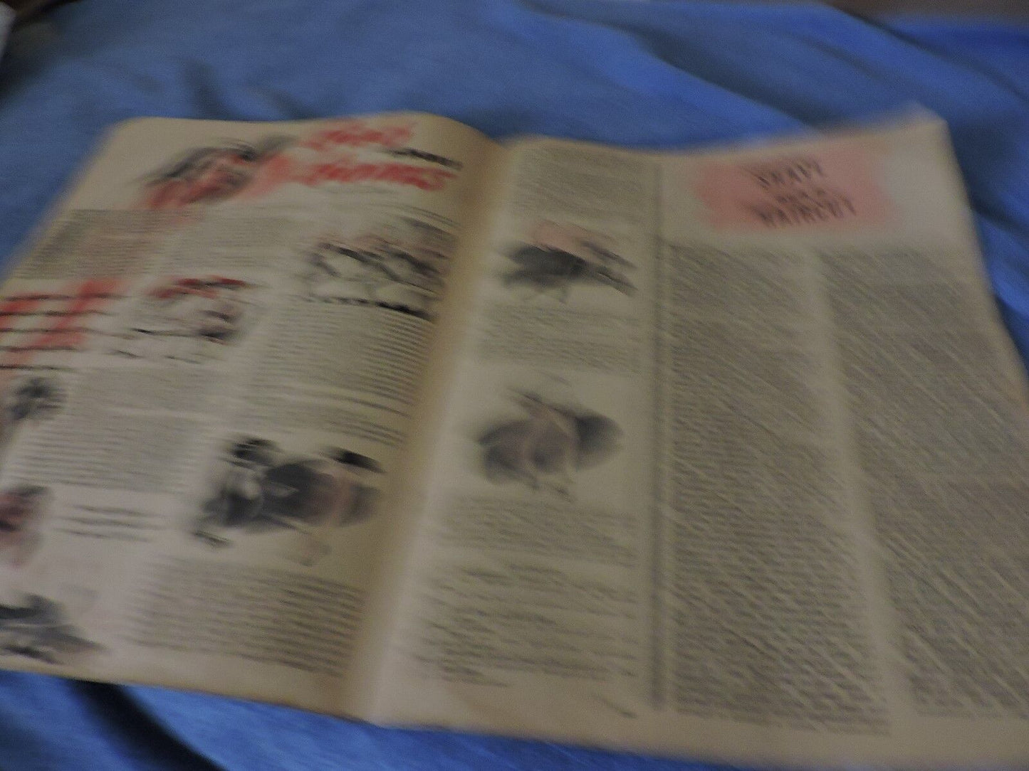The Leatherneck Magazine: May 1946 Edition