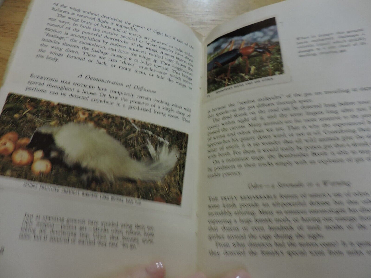NATIONAL AUDUBON SOCIETY: NATURE PROGRAM, INVENTIONS IN NATURE 1959