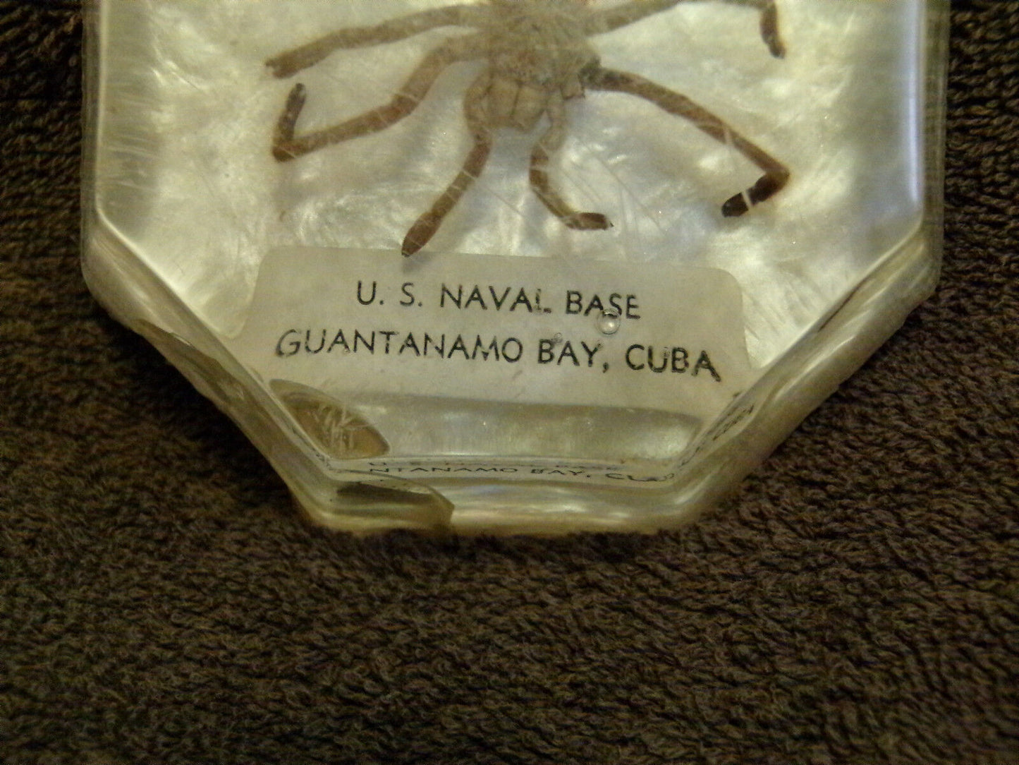 "Spiders of Cuba" Found and Caught on the U. S. Naval Base, Guantanamo, Cuba