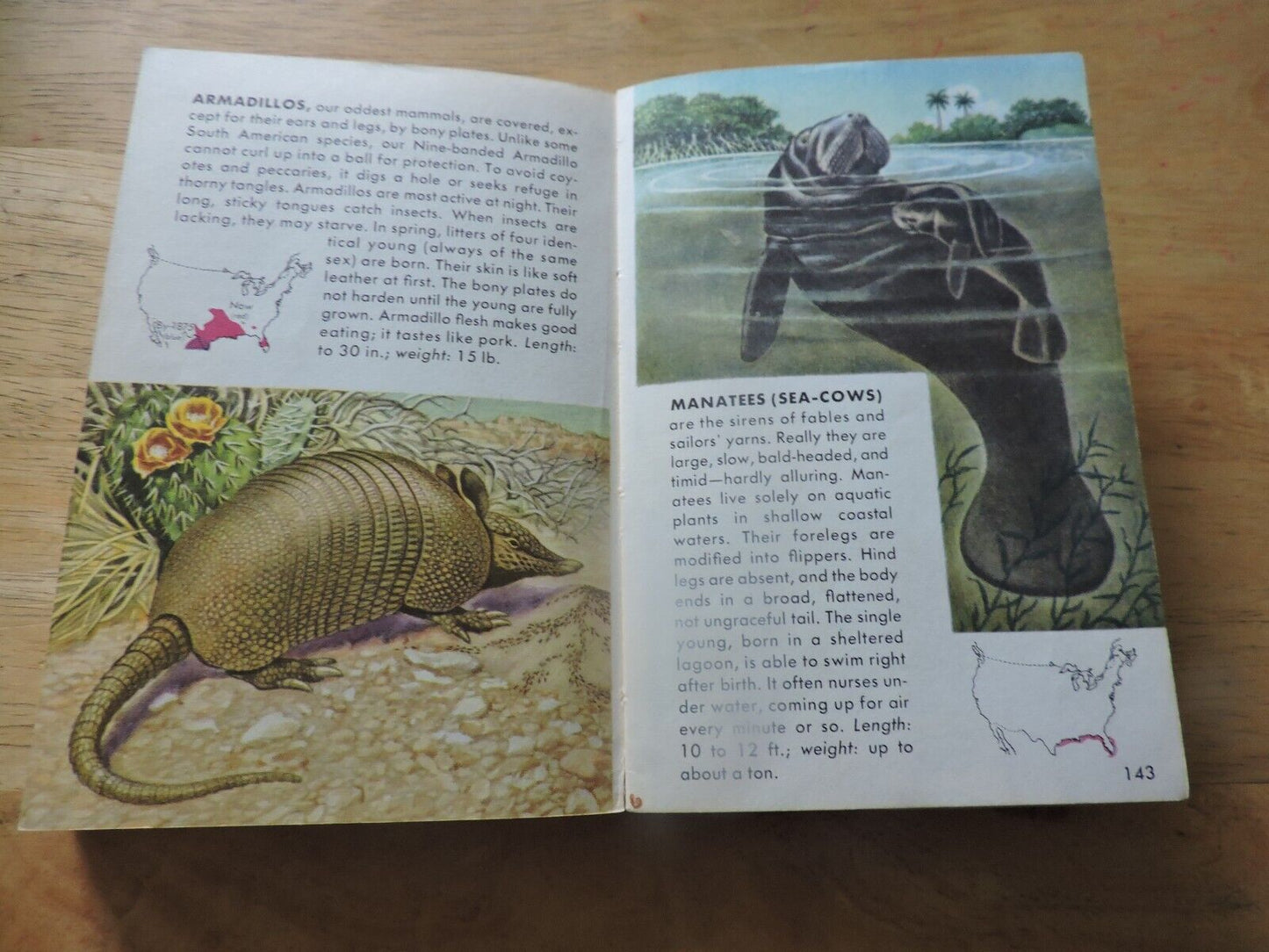 Mammals a Golden Nature Guide by Zim and Hoffmeister 1955