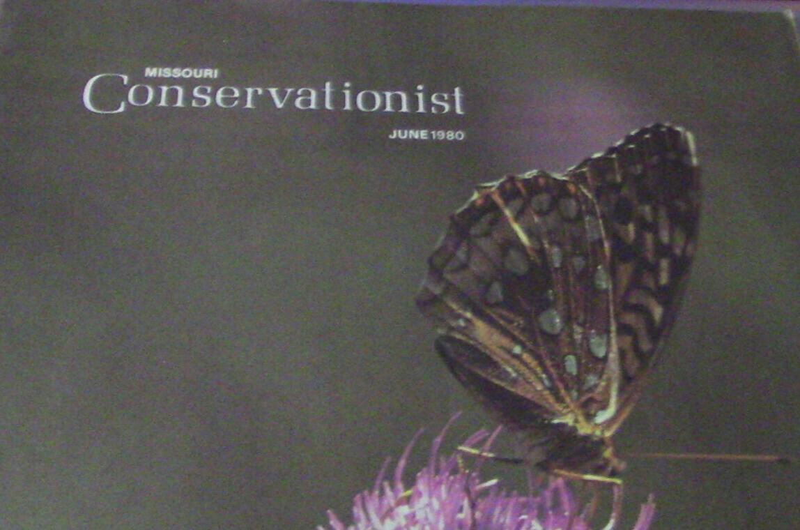Missouri Conservationist June 1980 Magazine