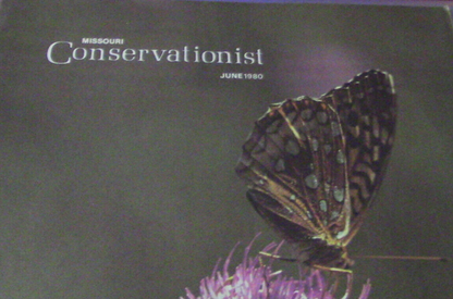 Missouri Conservationist June 1980 Magazine