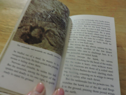 WALT S DISNEY: LIVING DESERT--A GOLDEN BOOK 1969