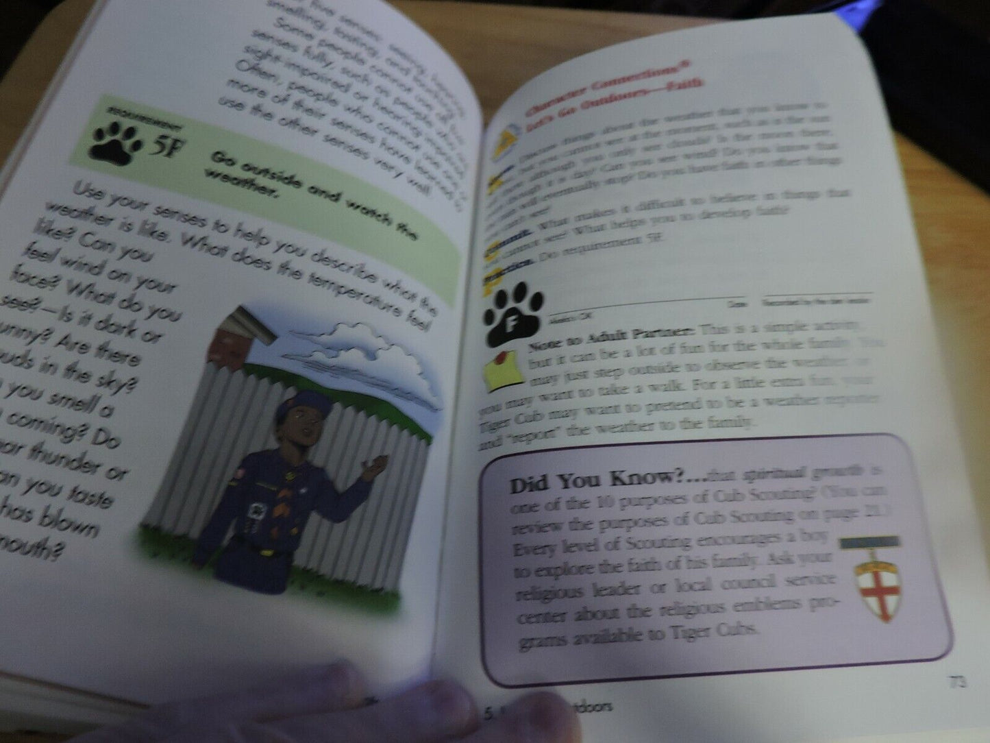 TIGER CUB HANDBOOK--CUBSCOUT 2010 PRINTING