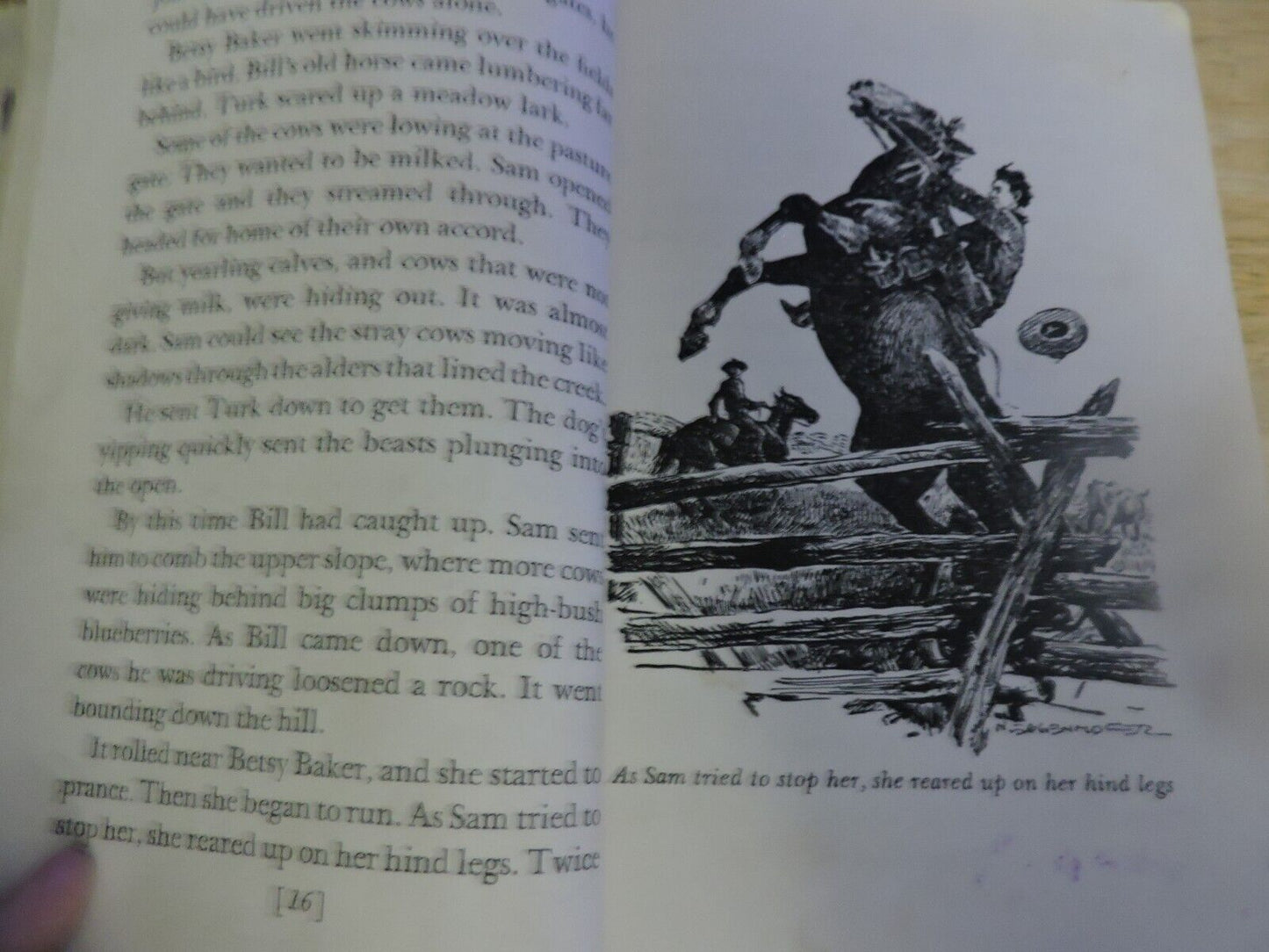 THE STORY OF BUFFALO BILL BY EDMUND COLLIER 1952