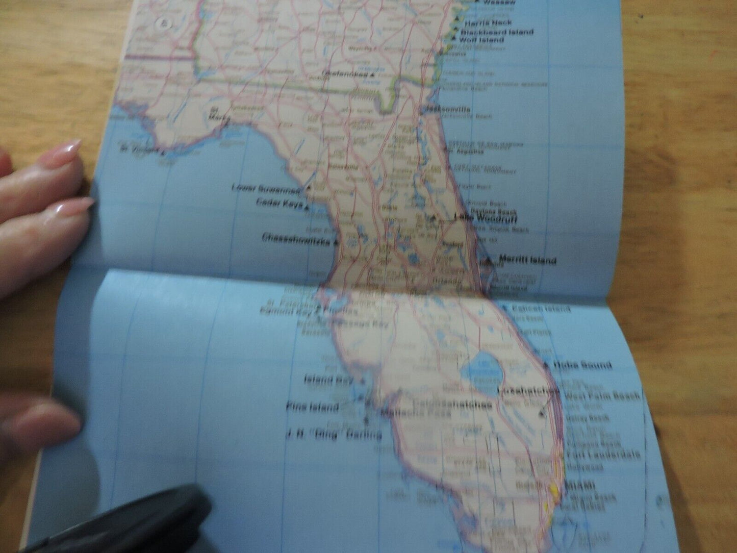 RAND McNALLY NAURE GUIDE FROM GRAPE NUTS EATERN EDITION 1985