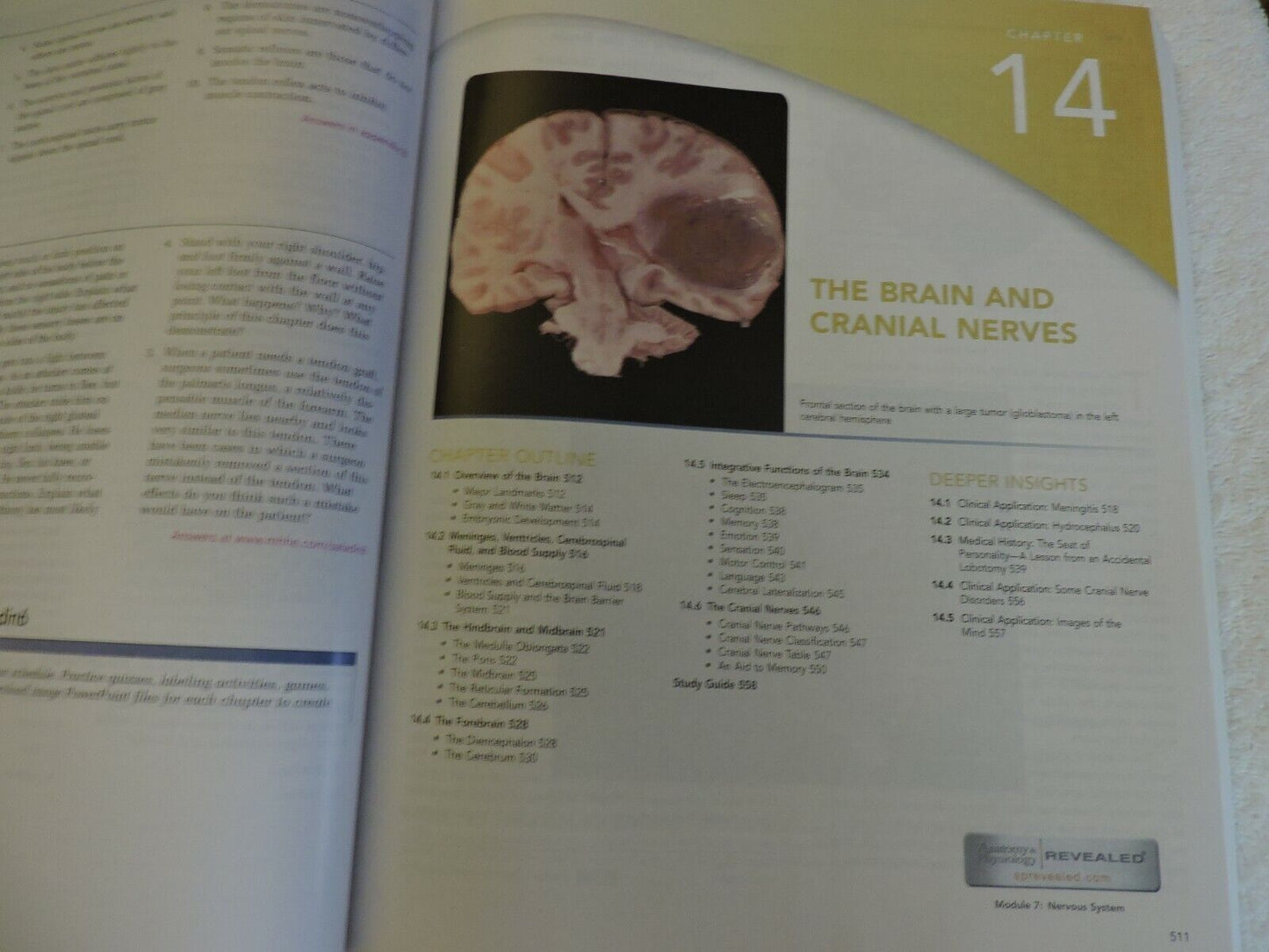ANATOMY PHYSIOLOGY  THE UNITY OF FORM AND FUNCTION, SALADIN