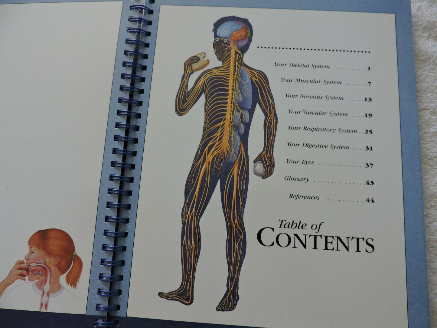 AN ILLUSTRATED ADVENTURE IN HUMAN ANATOMY KATE SWEENEY, 1996