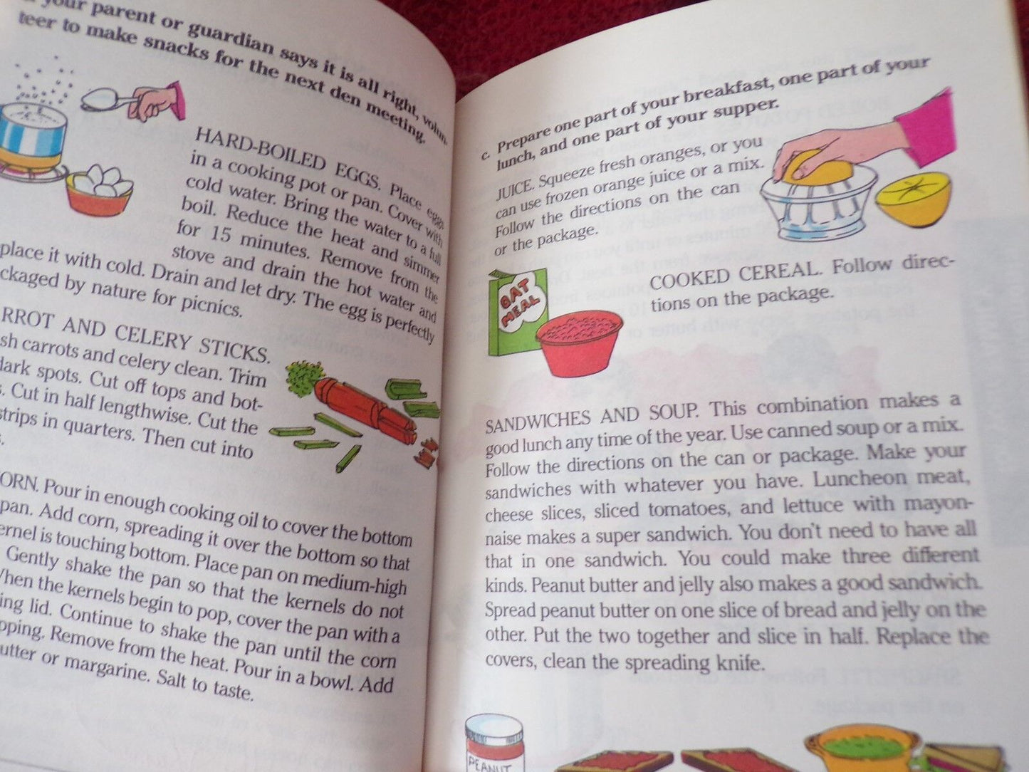 The Big Bear Cub Scout Book (BSA Cub Scout Manual) 1984 Edition