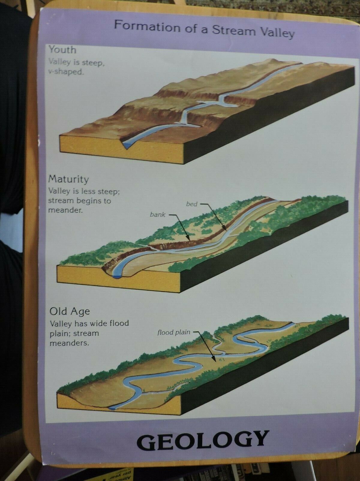 Educational Poster: Foundation Of A Stream Valley Poster
