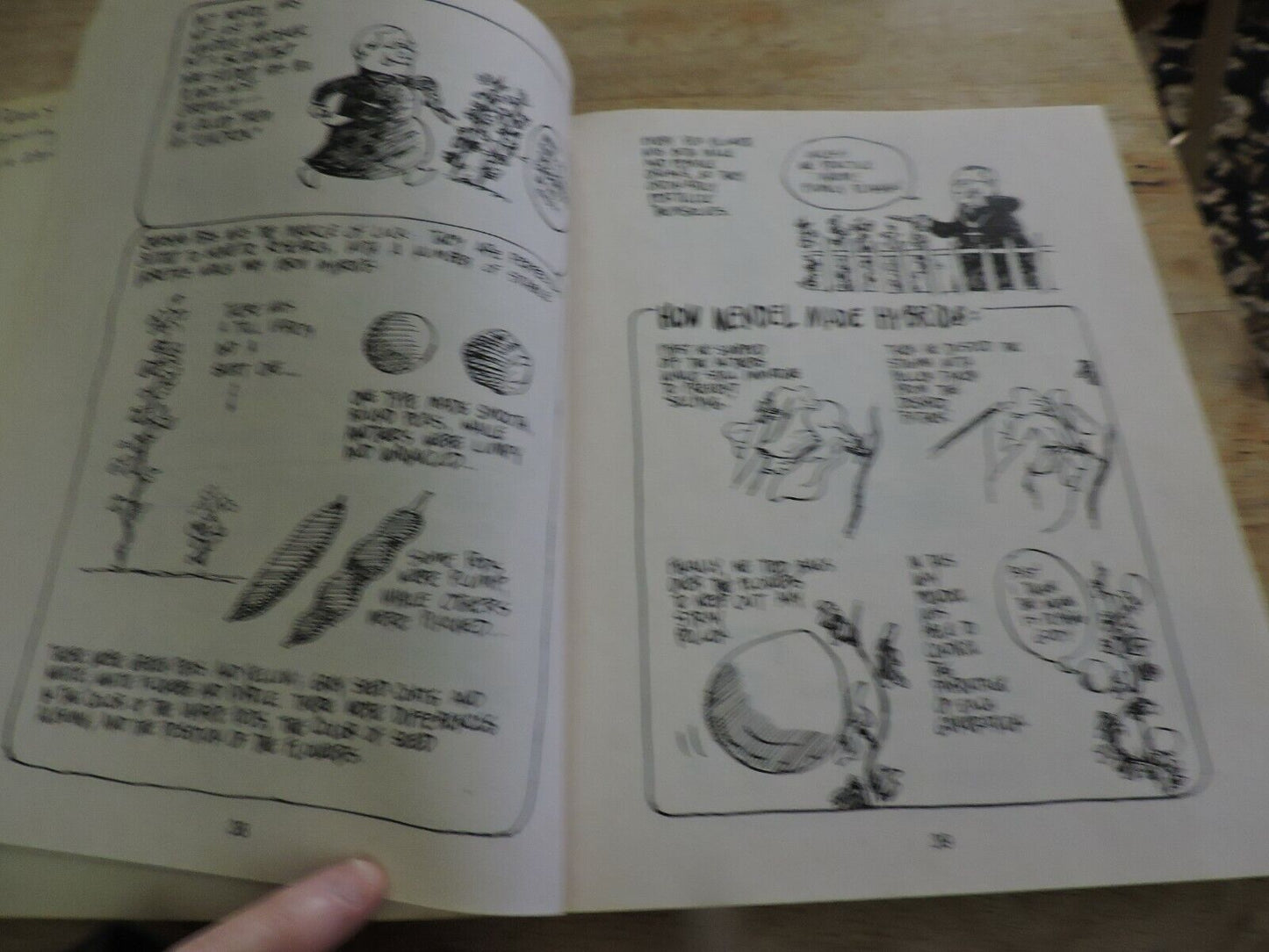 THE CARTOON GENETICS BY LARRY GONICK & MARK WHEELIS 2005