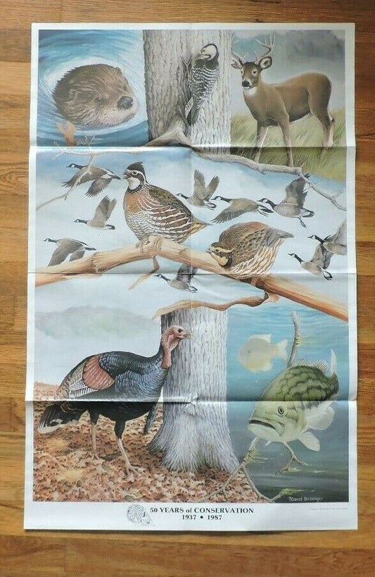 Artist David Berringer Presents: 50 Years of Conservation Full Color Poster