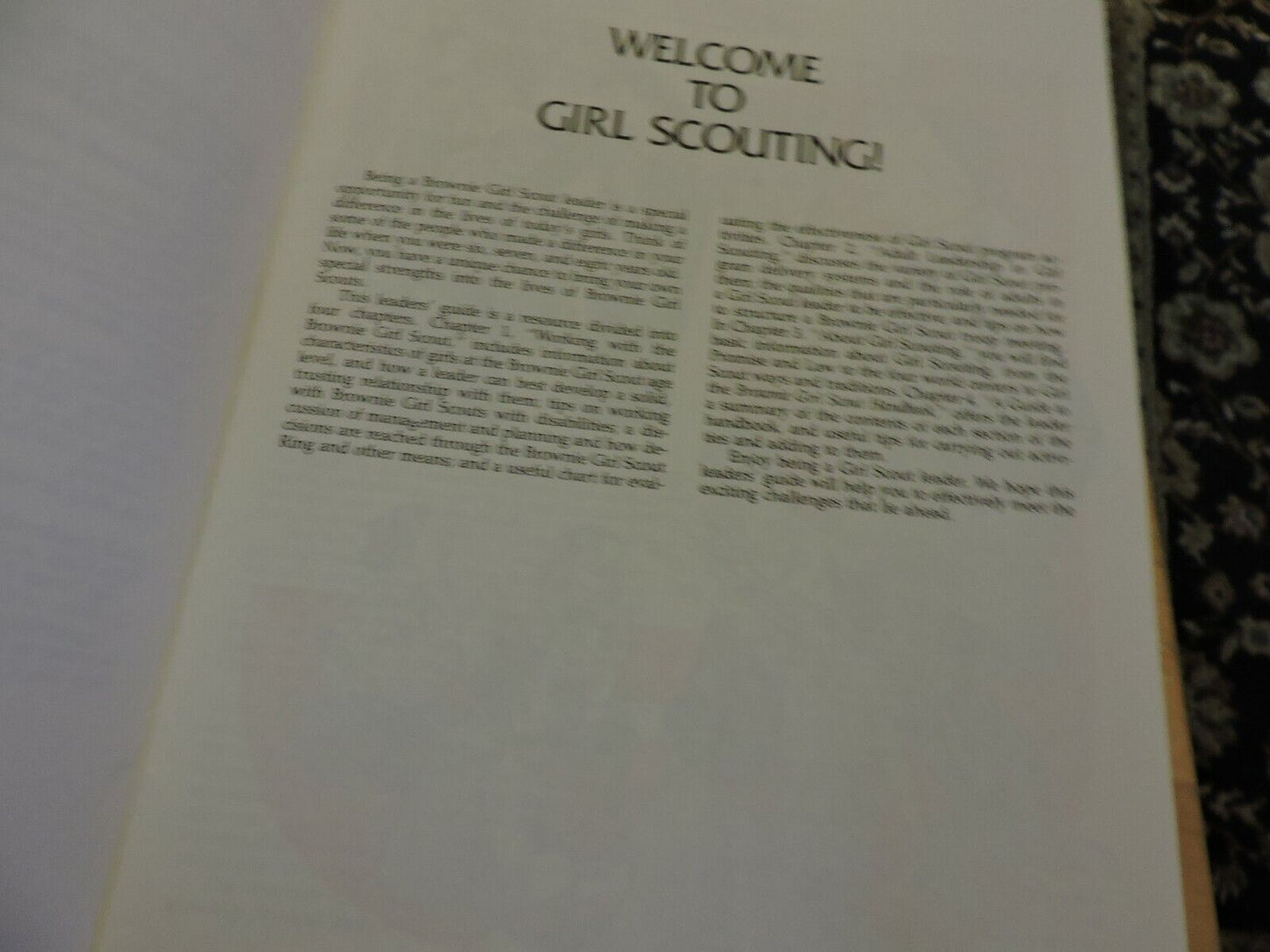 BROWNIE GIRL SCOUTS LEADER'S GUIDE  1986