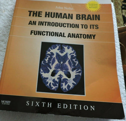 THE HUMAN BRAIN AN INTRODUCTION TO ITS FUNCTIONAL ANATOMY 2009 JOHN NOLTE
