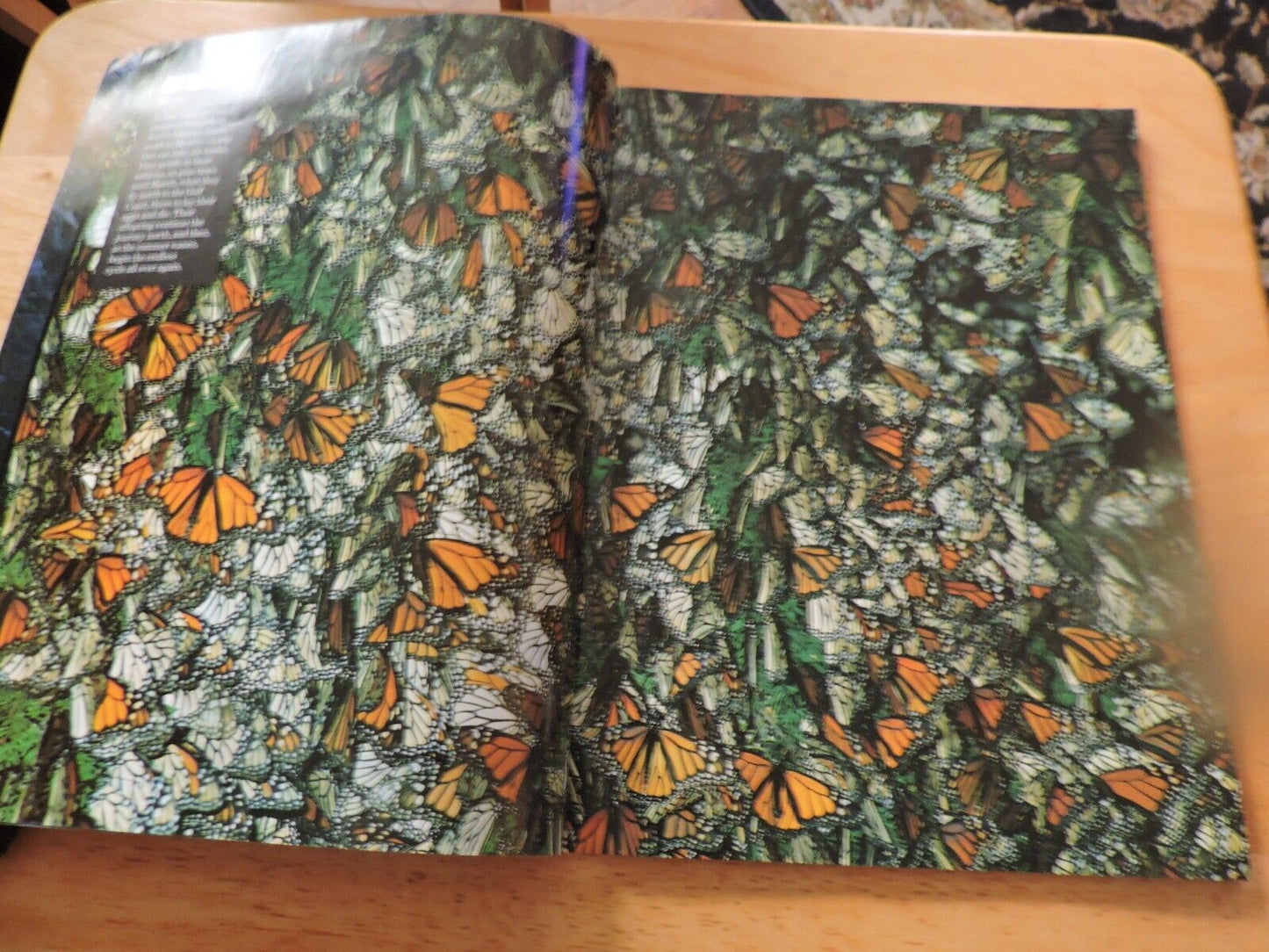 FROM THE EDITORS OF LIFE: EARTH'S WONDERS: NATURAL AND HAND MADE 1994