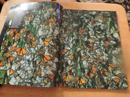 FROM THE EDITORS OF LIFE: EARTH'S WONDERS: NATURAL AND HAND MADE 1994