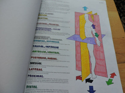 THE ANATOMY COLORING BOOK BY WYNN KAPIT/LAWRENCE M. ELSON 1977