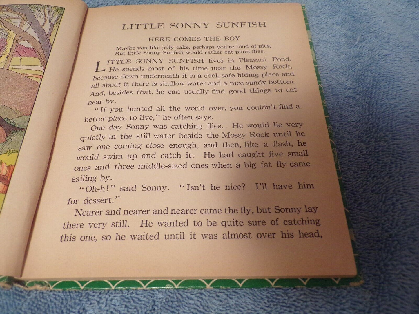 Little Sonny Sunfish by Elizabeth Gale