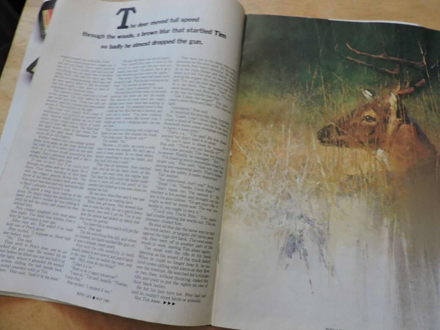 BOYS' LIFE MAGAZINE: MAY 1989 MOUNTAIN BIKING THE SIERRAS