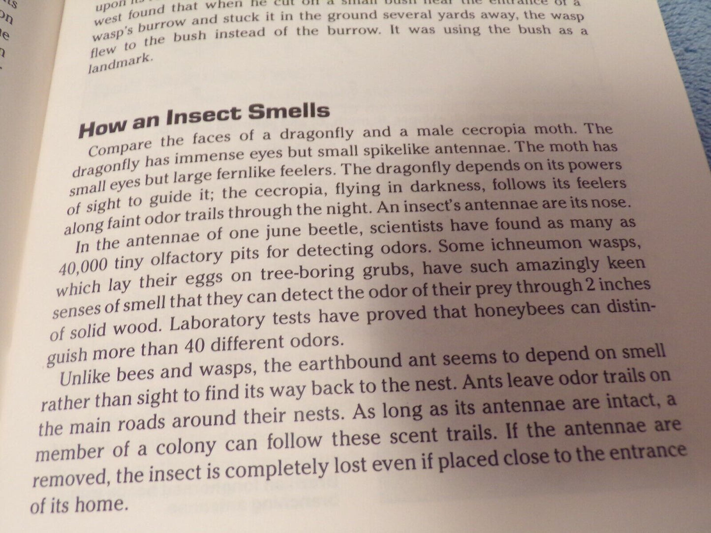 Insect Study: BSA Merit Badge Series Book 1987 Printing