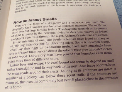 Insect Study: BSA Merit Badge Series Book 1987 Printing