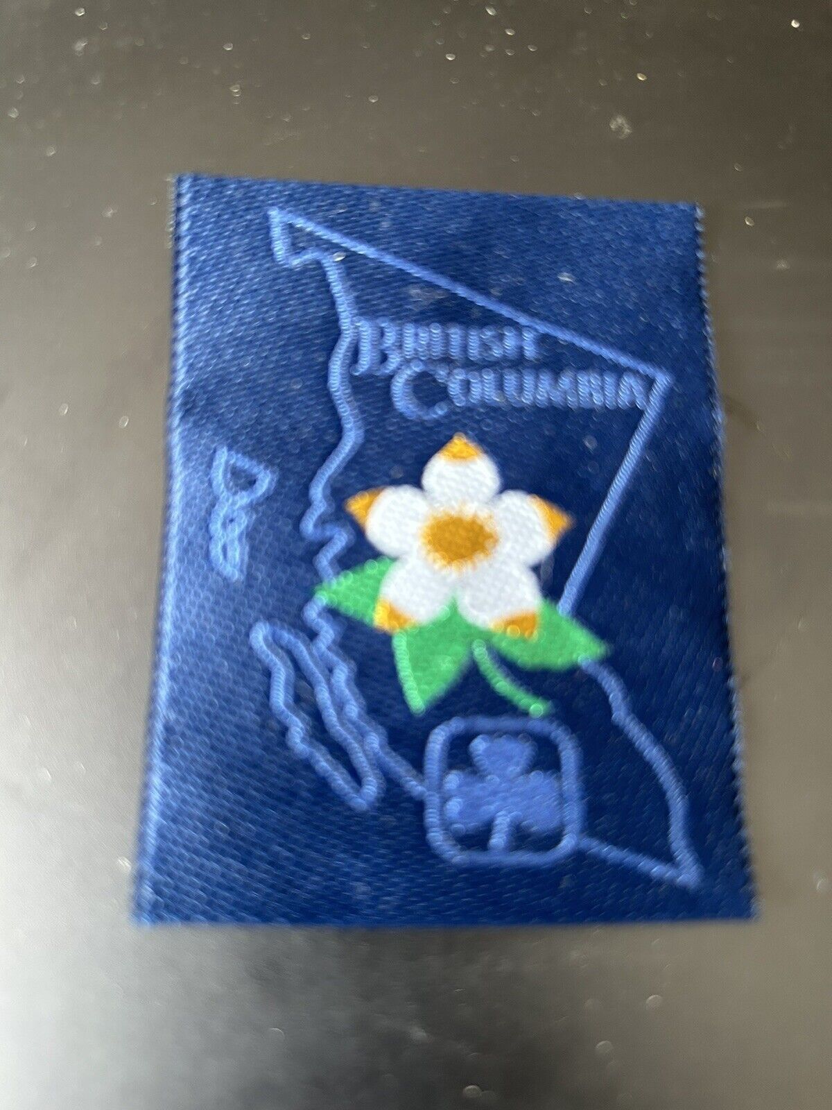 Official Girl Guides-Canada: British Columbia Girl Guides Patch