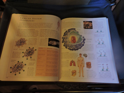 THE HUMAN BODY: A DORLING KINDERSLEY BOOK, 1995