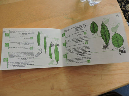 MASTER TREE FINDER: A MANUAL FOR THE IDENTIFICATION OF TREES BY THEIR LEAVES 196