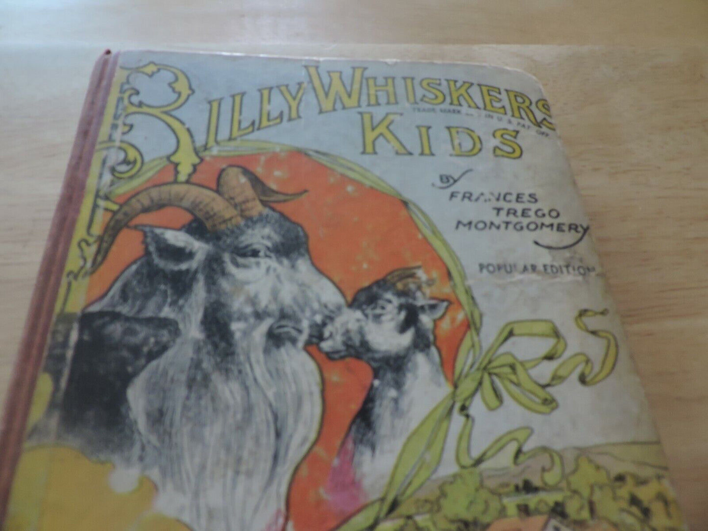 BILLY WIHISKERS KIDS  BY FRANCES TREGO MONTGOMERY 1903