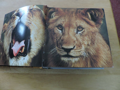 BABY ANIMALS--CUBE BOOK 2004