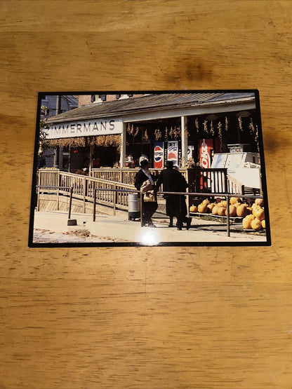 Postcard Unposted: Amish Seasons (ZIMMERMAN'S)
