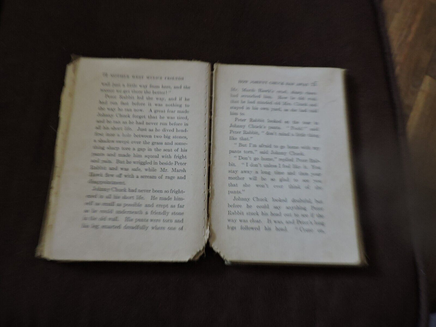 ANOTHER WEST WINDS ANIMAL FRIENDS BY THORNTON W. BURGESS 1917