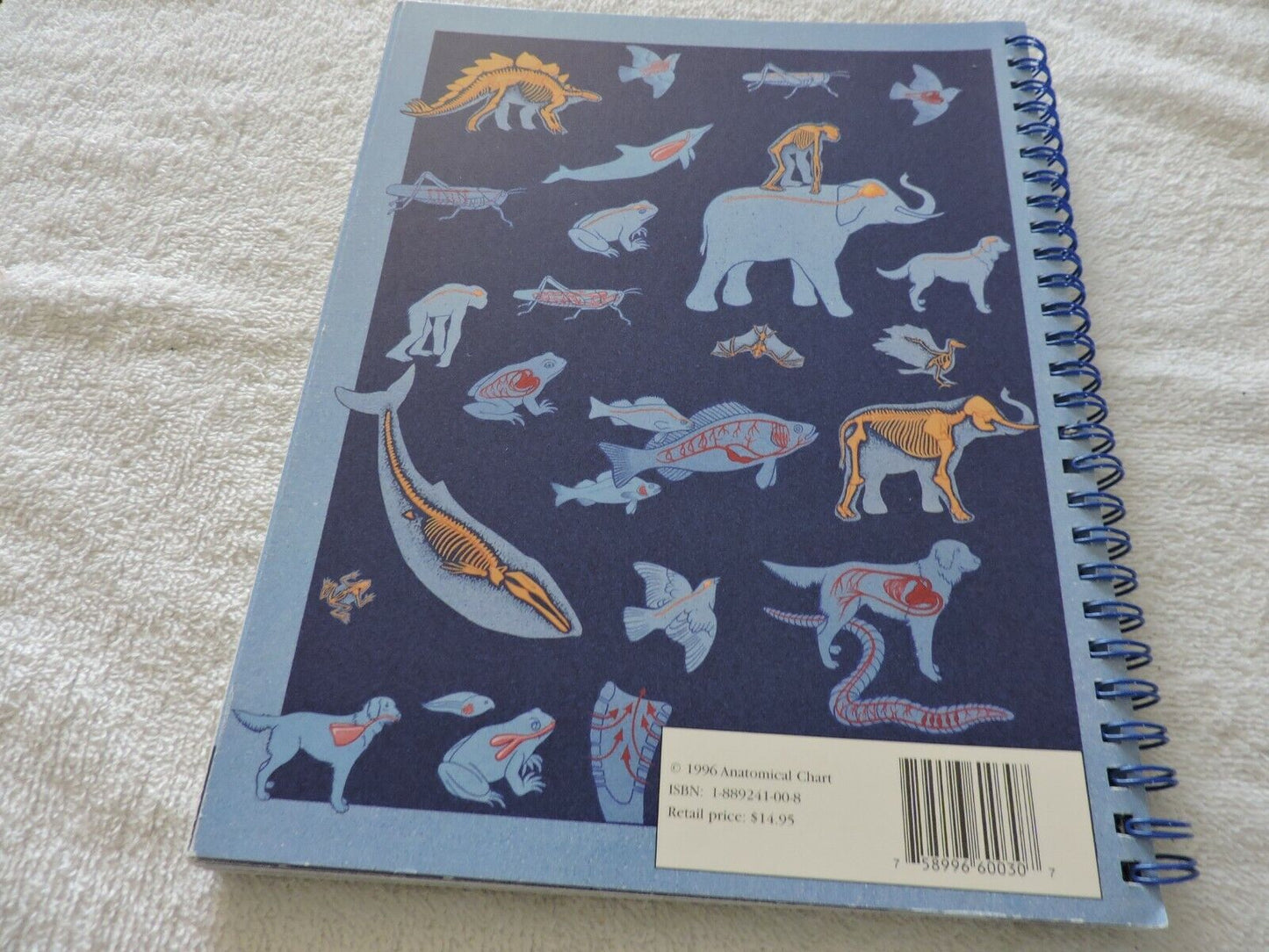 AN ILLUSTRATED ADVENTURE IN HUMAN ANATOMY KATE SWEENEY, 1996