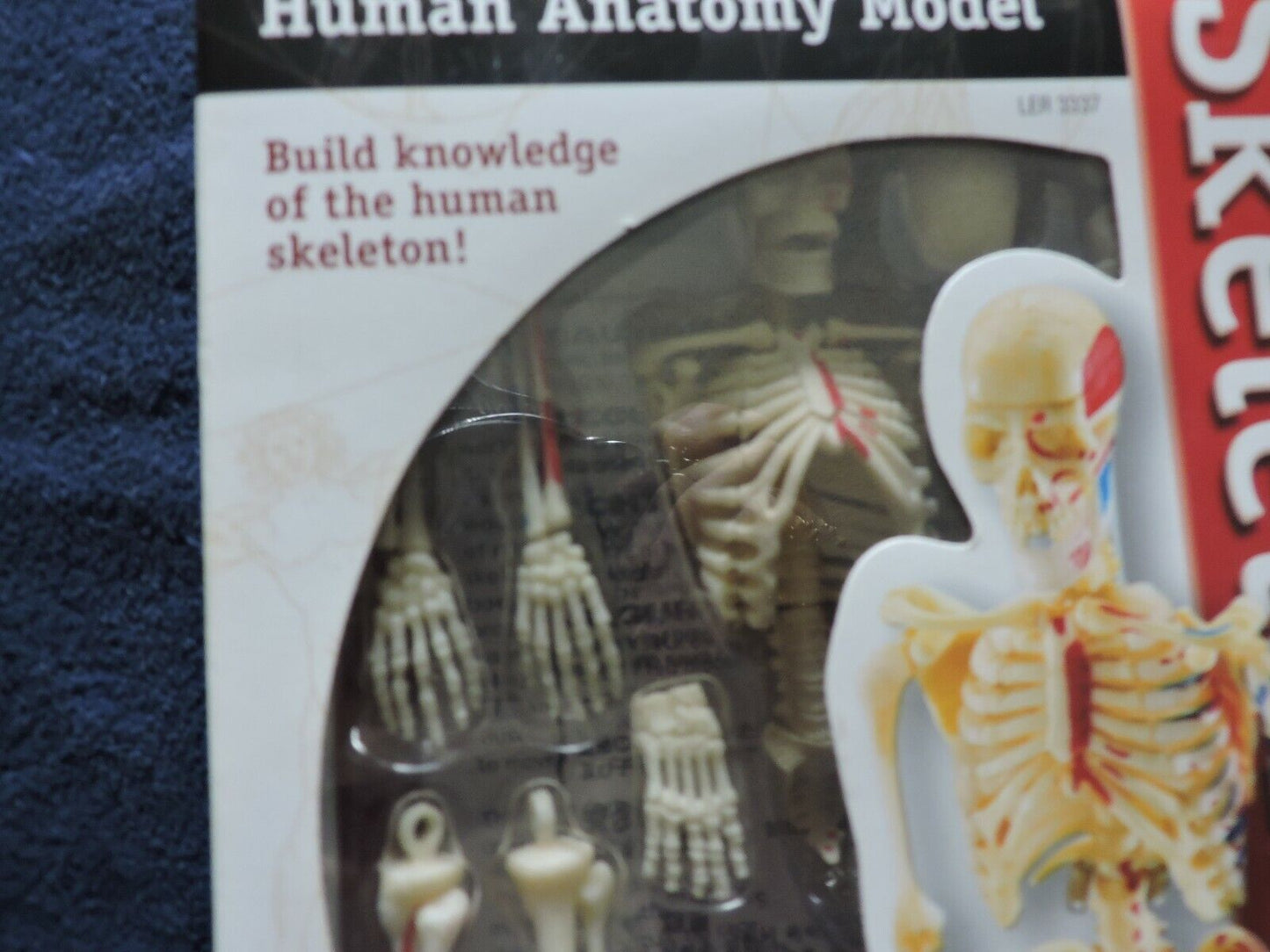 HUMAN ANATOMY MODEL 41 PIECE NIB--AGES 8+