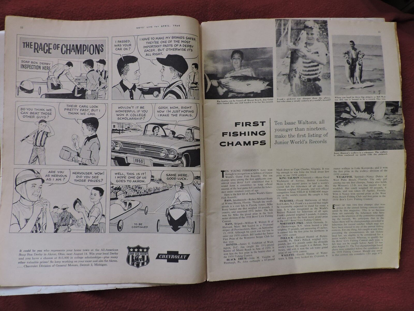 BOYS LIFE MAGAZINE -April 1960 PELICAN