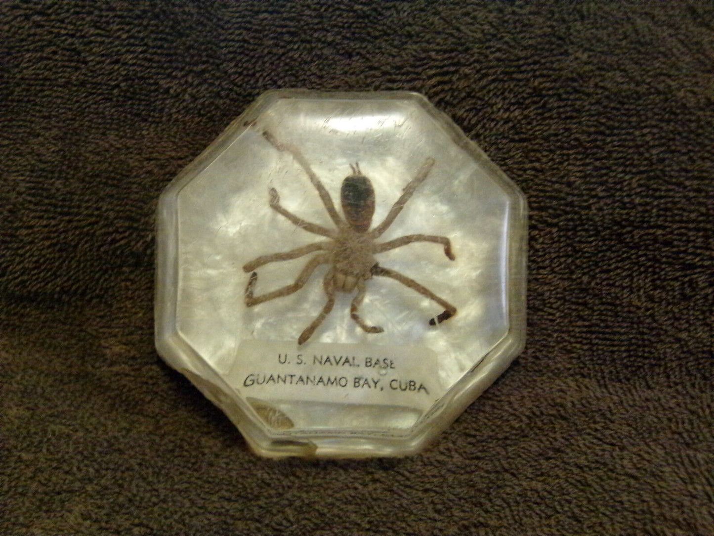 "Spiders of Cuba" Found and Caught on the U. S. Naval Base, Guantanamo, Cuba