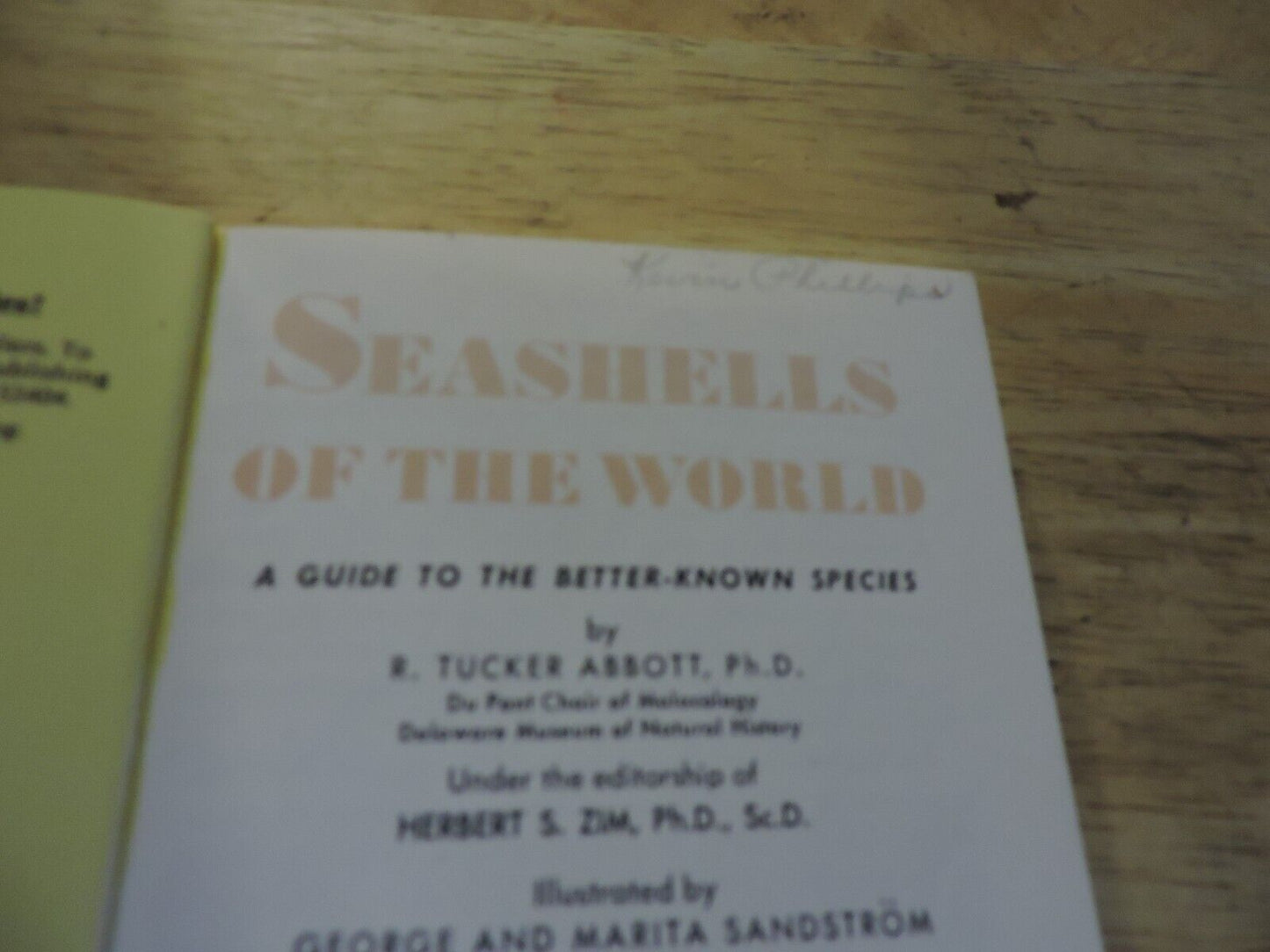 Sea Shells Of The World, A Golden Nature Guide, 1962 Trade Paperback