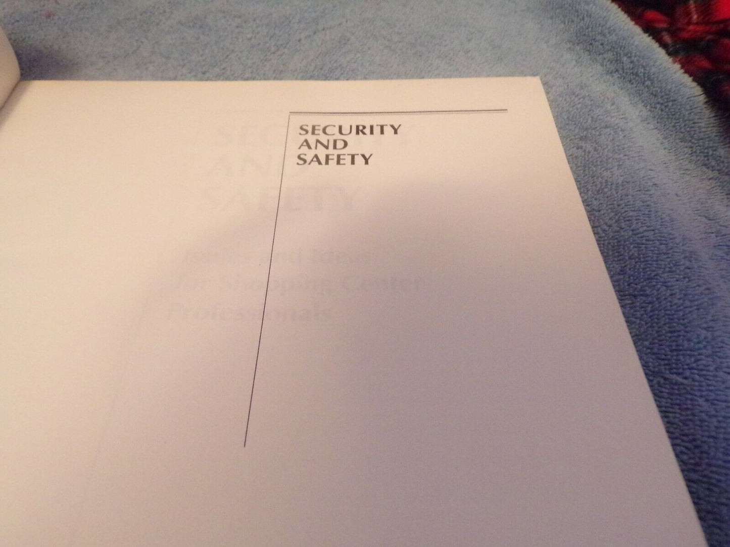 Security & Safety: Issues and Ideas for Shopping Center Security Professionals