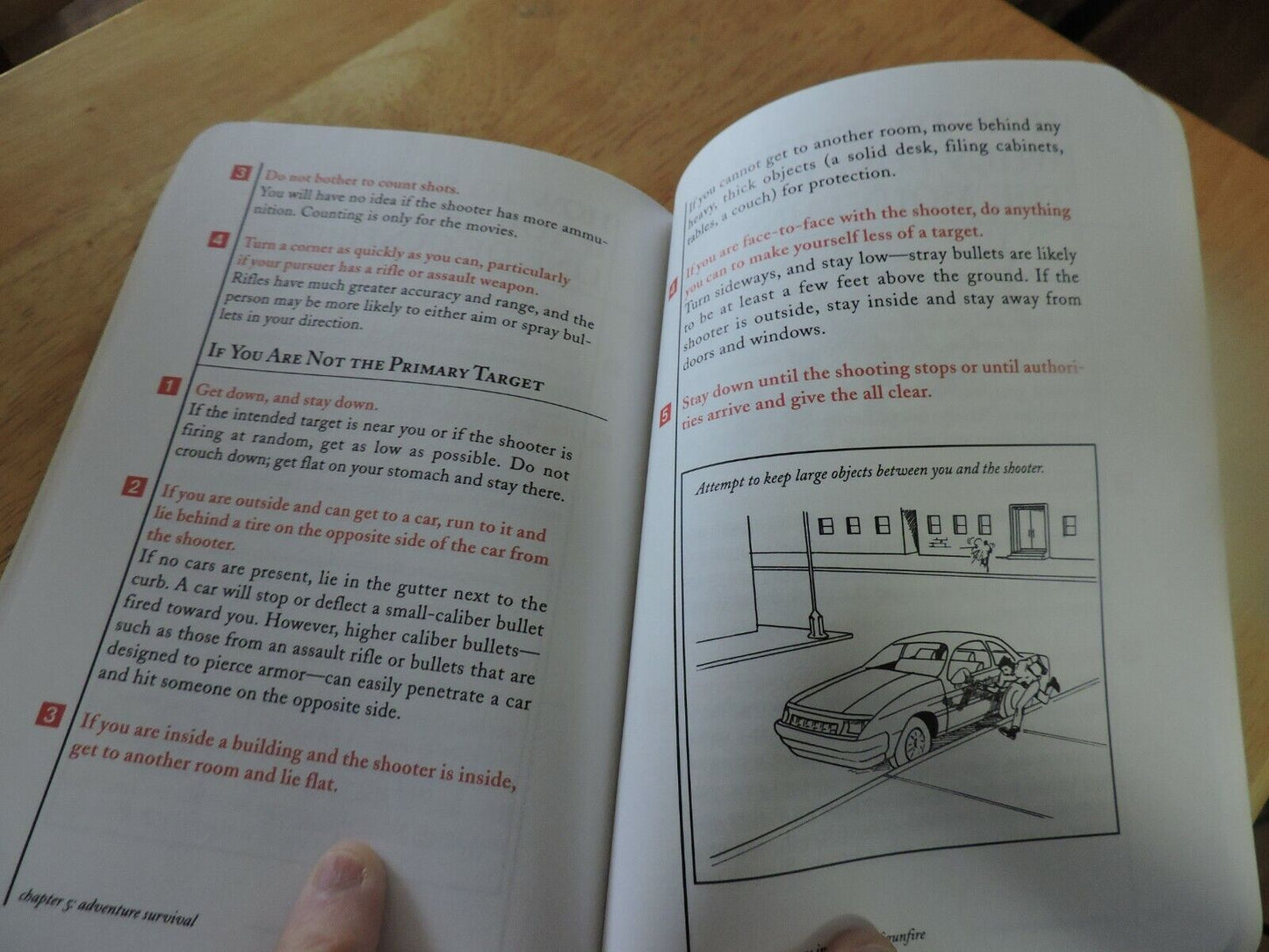 The Worst-Case Scenario Survival Handbook by David Borgenicht and Joshua Piven (