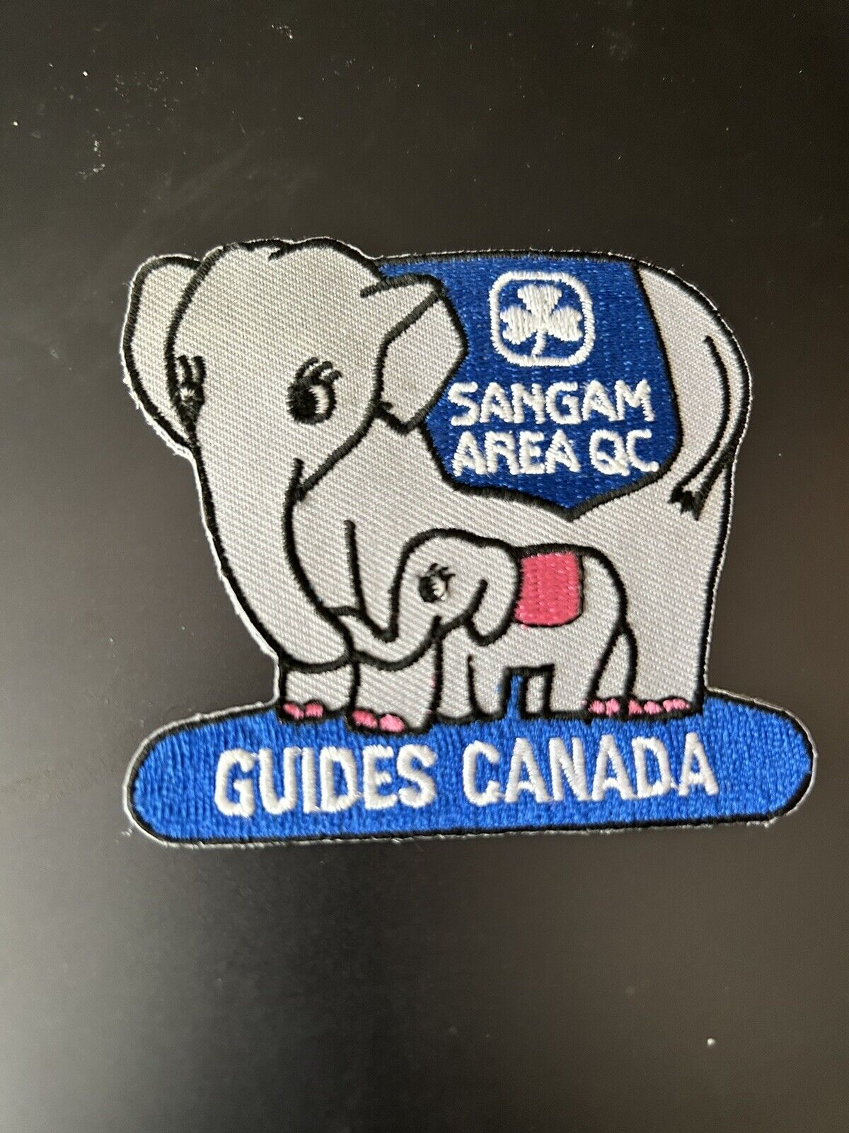 Official Girl Guides-Canada: Sangam Area QC Patch