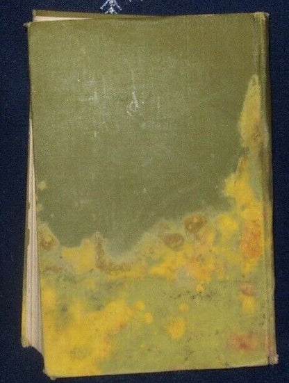 The Weavers Gilbert Parker Tale of England & Egypt 50 Years Ago 1907 Illustrated