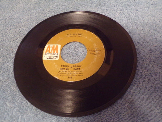 Tommy Bobby and Boyce Hart Present: "Alice Long" & P.O.Box 9847 Vinyl Record