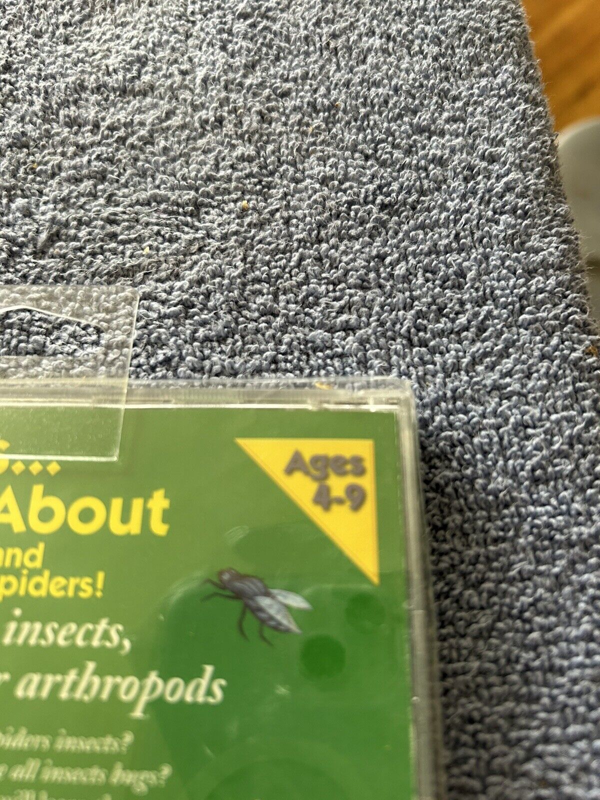SCIENCE SERIES: INSECTS AND SPIDERS AGES 4-9  CD 1999