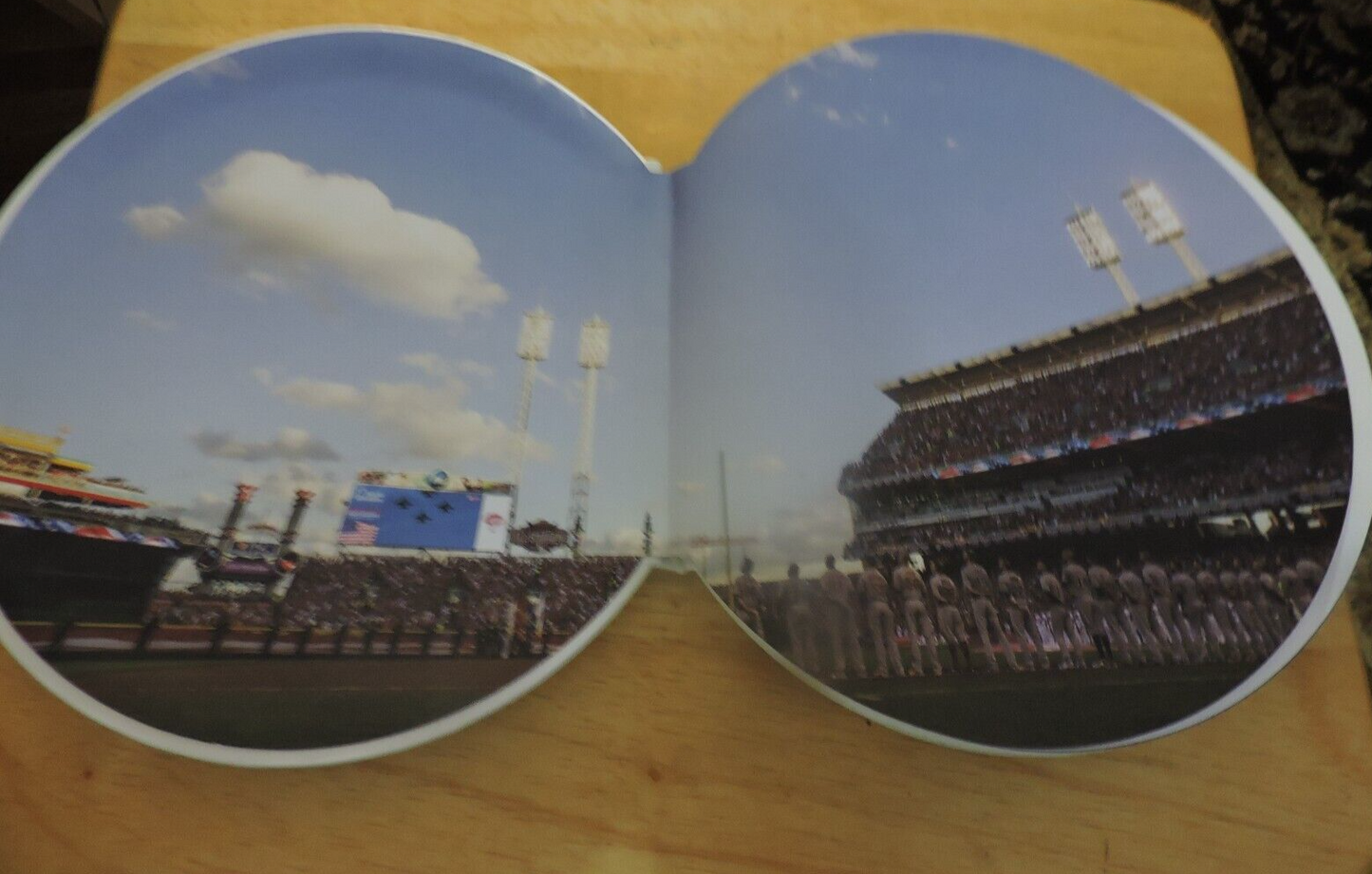 2017 Limited Edition  Baseball Book Ruckus Books Ruckus Sports