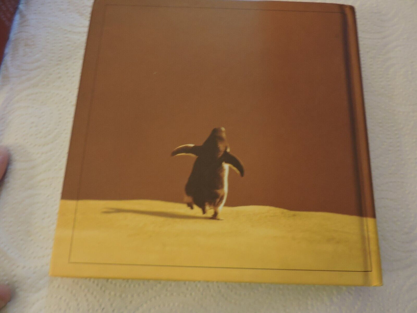 TOMORROW ADVENTURES IN AN UNCERTAIN WORLD BRADLEY TREVOR GREIVE 2003