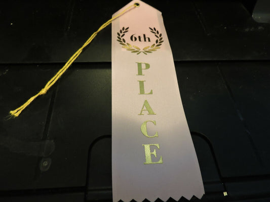 Bag of 25 Award Ribbons: 6th Place (Pink Ribbons)
