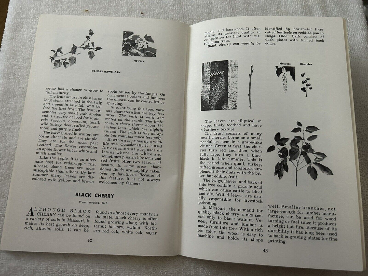 MISSOURI TREES:  MISSOURTI DEPARTMENT OF CONSERVATION 1973