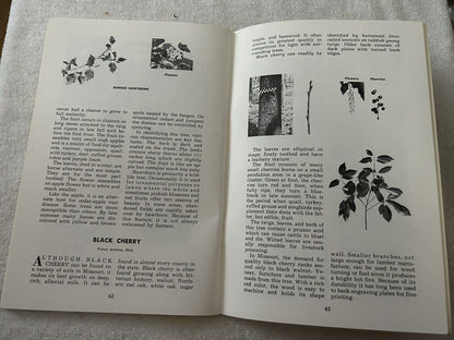 MISSOURI TREES:  MISSOURTI DEPARTMENT OF CONSERVATION 1973