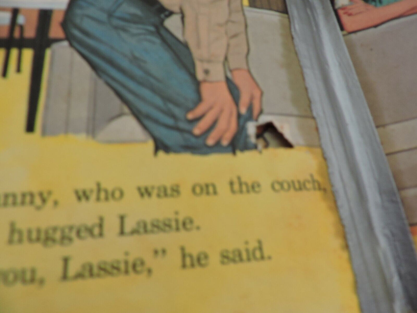 LASSIE AND THE CUB SCOUT
