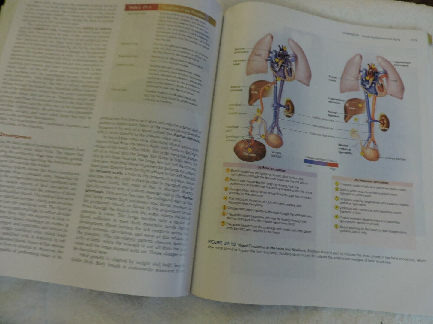ANATOMY PHYSIOLOGY  THE UNITY OF FORM AND FUNCTION, SALADIN